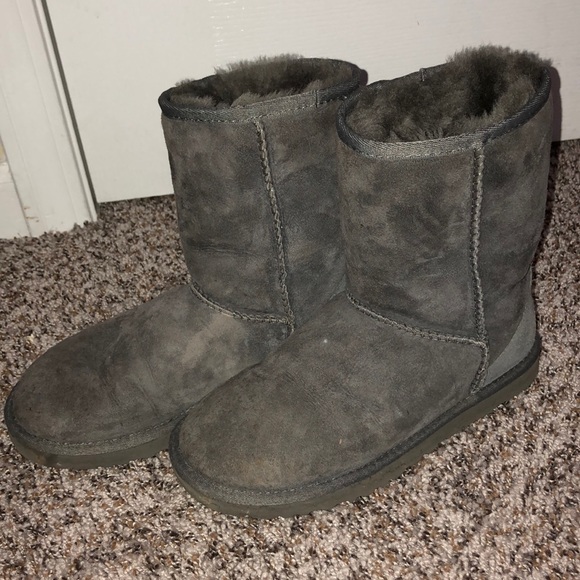 Gray Ugg Boots (short) - Picture 4 of 4